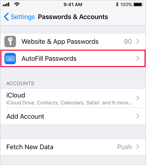Settings - Passwords and Accounts on iOS